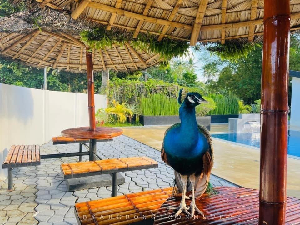 Dreamink Farm Og Myl'S Place Sorsogon Exterior foto